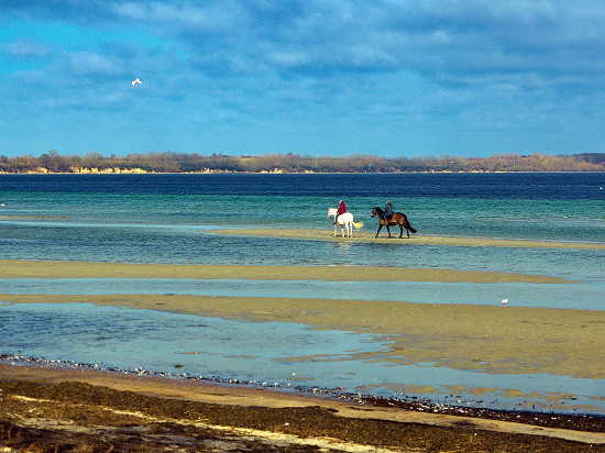 Wohlenberger_Wiek_Pferde
