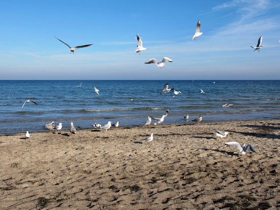 boltenhagen-ostsee-strand