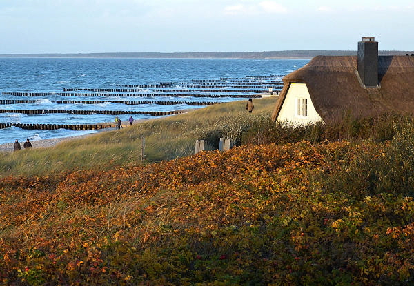 darss-ahrenshoop-strand