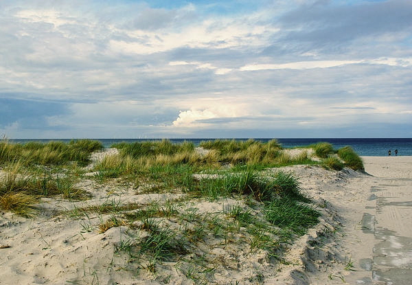 darss-ostsee-insel