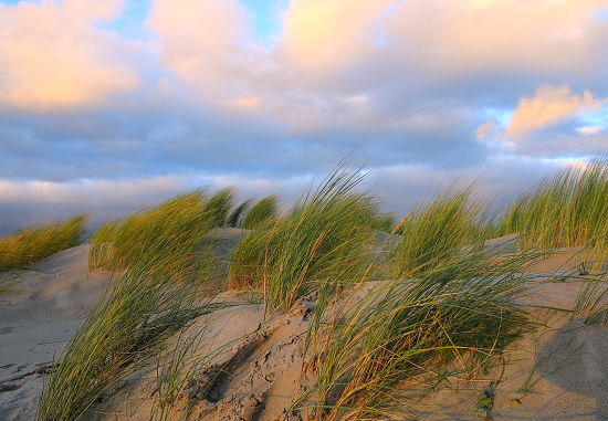 duenen-ostsee-warnemuende