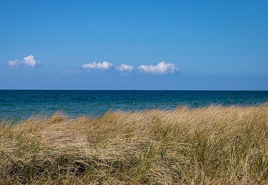 fehmarn-ostsee-duenen