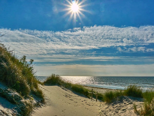 ruegen-ostsee-sommer-ferienwohnung