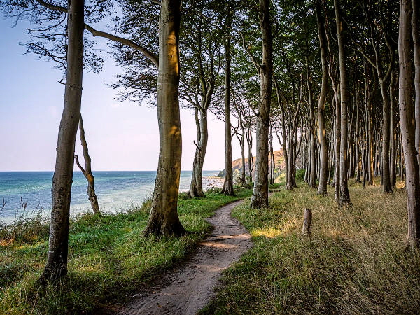 ruegen-wald-ostsee-ferienwohnung