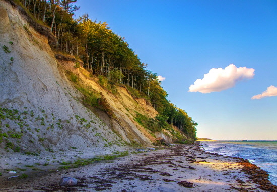 steilkueste-ostsee-kieler-bucht