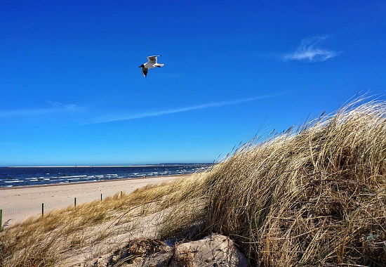 swinemuende-strand-ostsee